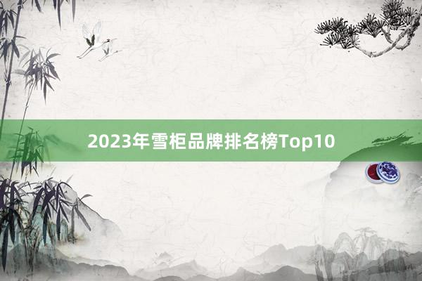 2023年雪柜品牌排名榜Top10
