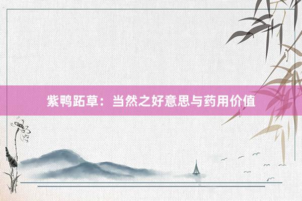 紫鸭跖草：当然之好意思与药用价值